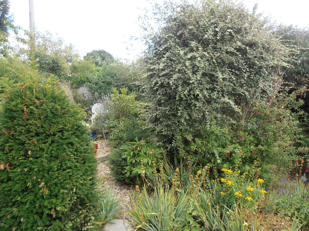 The Hideaway Suite Holiday Home Colchester Bagian luar foto